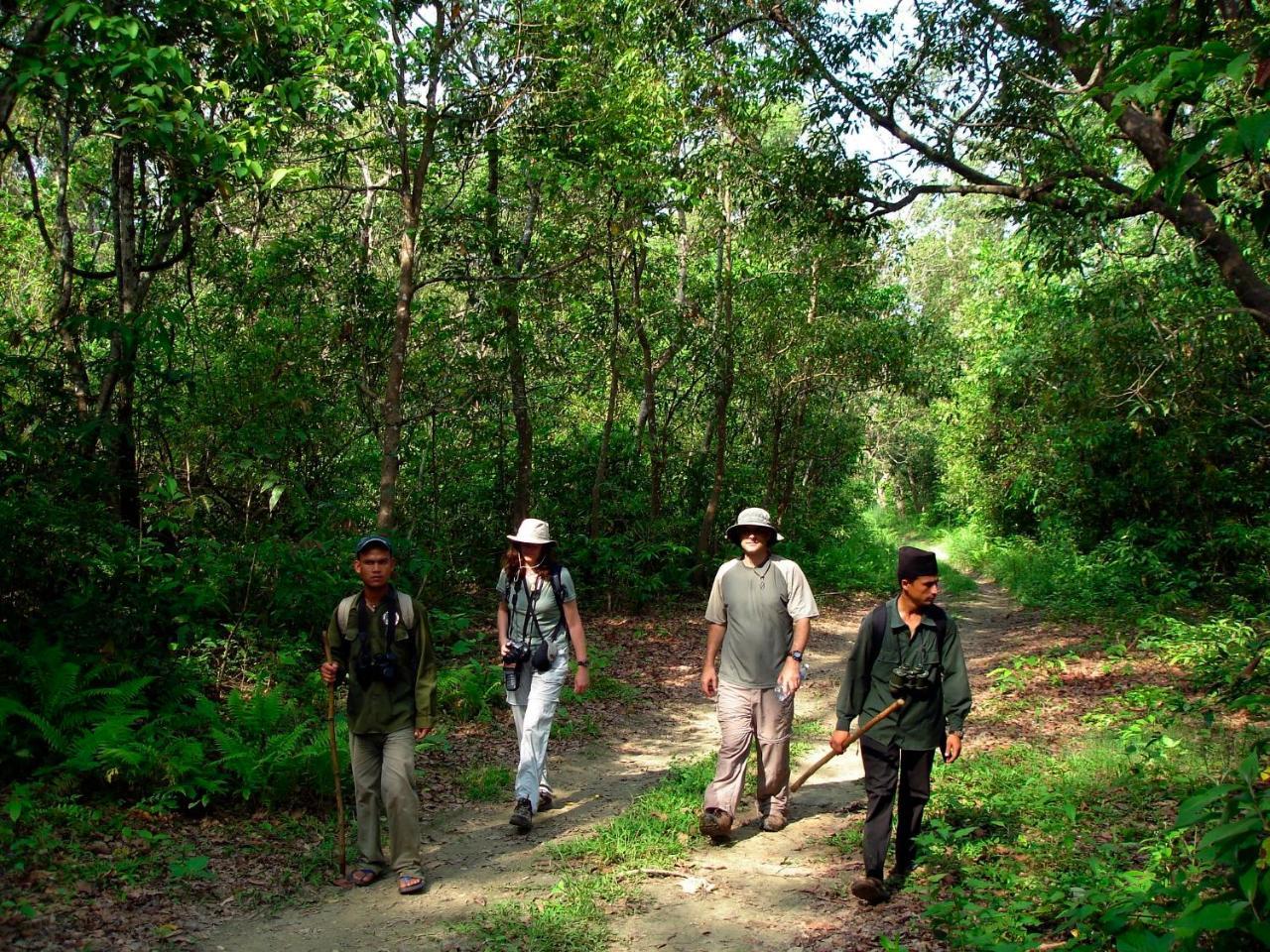 Park Safari Resort Sauraha Ngoại thất bức ảnh