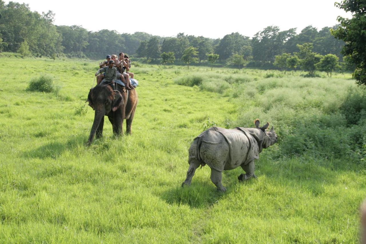 Park Safari Resort Sauraha Ngoại thất bức ảnh